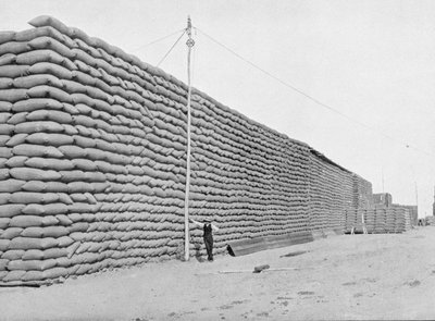 125.000 zakken tarwe wachten op verzending, Zuid-Australië, ca.1900, uit 